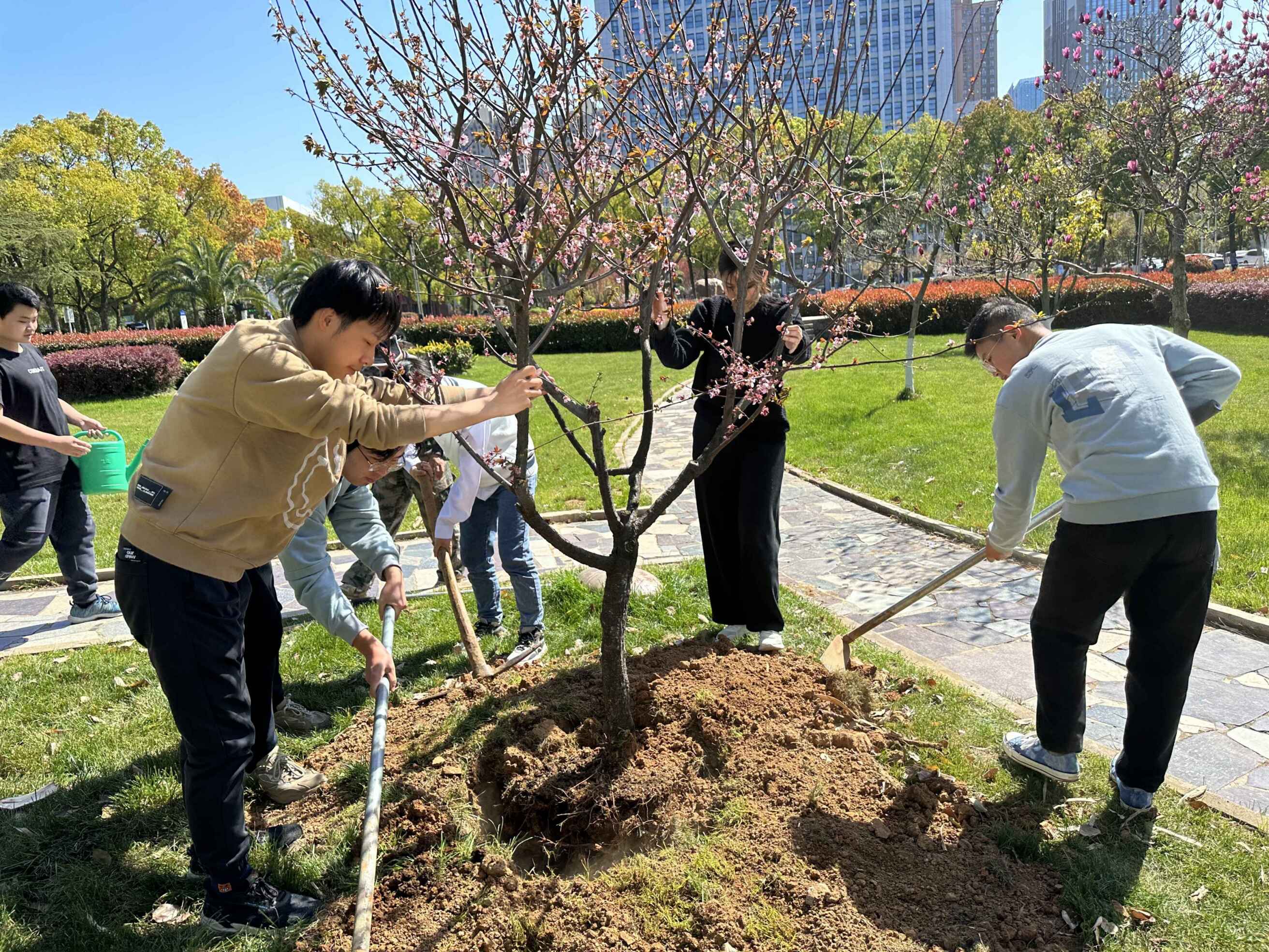 植树护绿 快乐种植——物业服务中心开展劳动教育实践活动 中国地质大学后勤保障部 